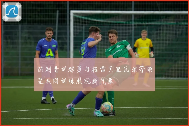 热刺青训球员与格雷贝里瓦尔等明星共同训练展现新气象