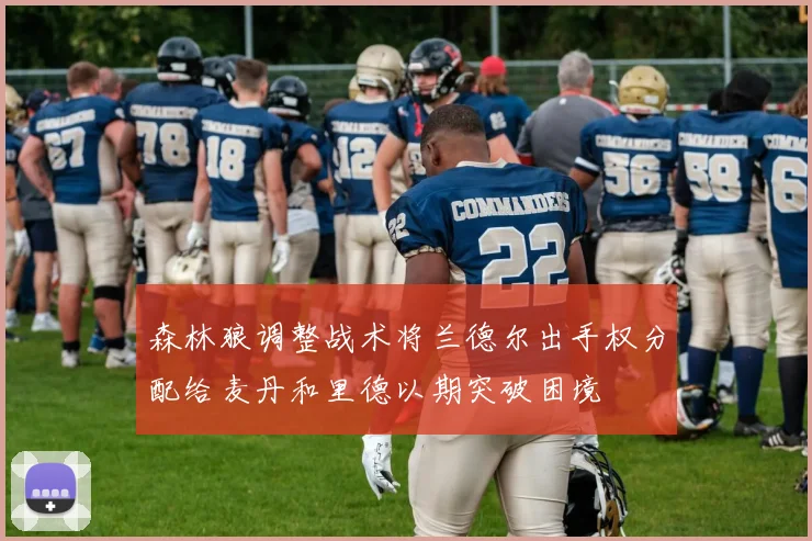 森林狼调整战术将兰德尔出手权分配给麦丹和里德以期突破困境