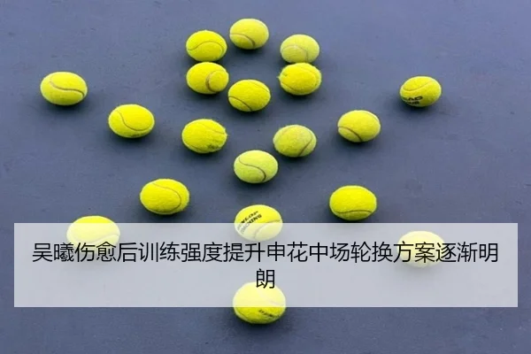 吴曦伤愈后训练强度提升申花中场轮换方案逐渐明朗